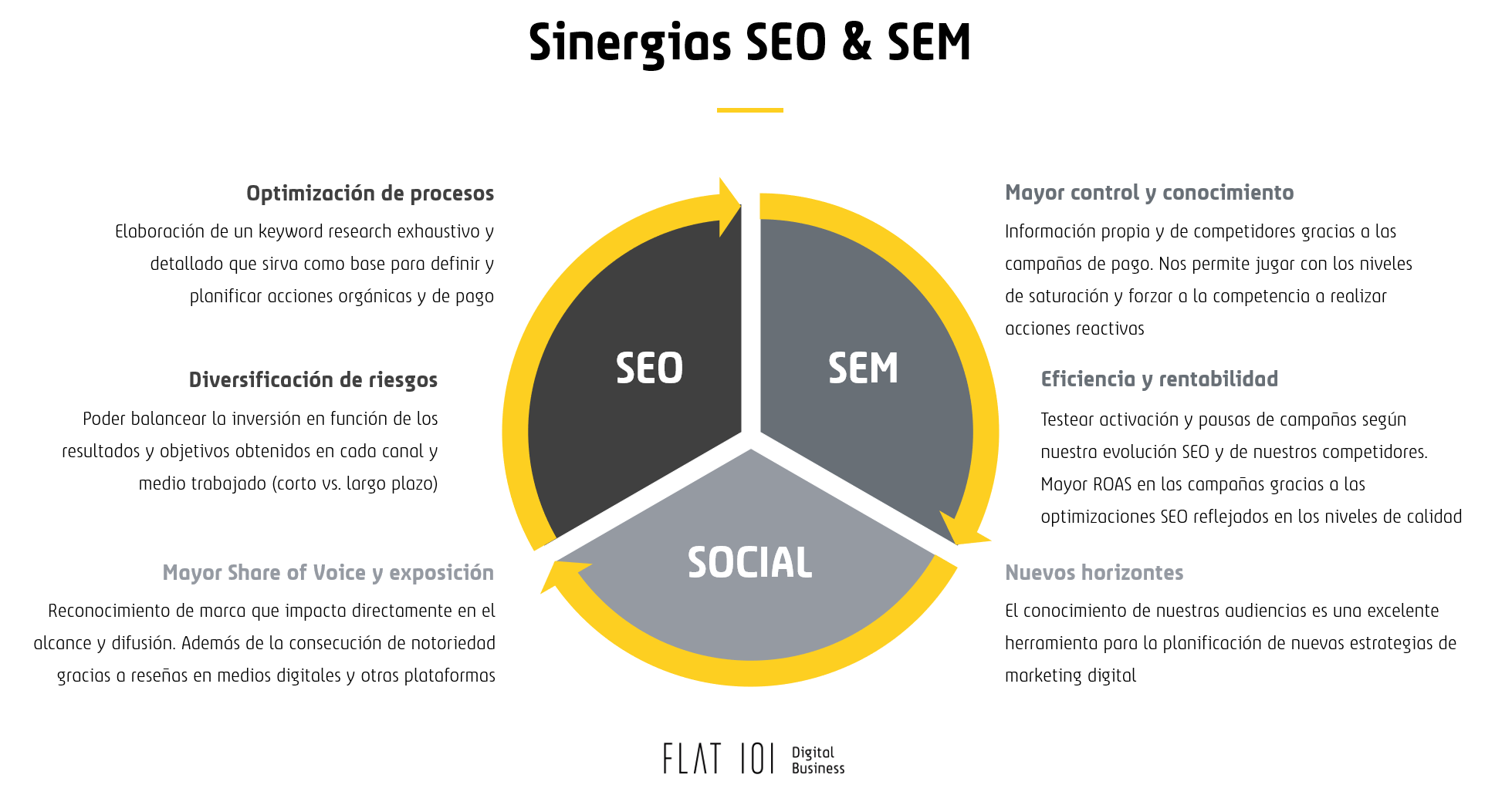 Infografía Sinergias SEO & SEM - Flat 101