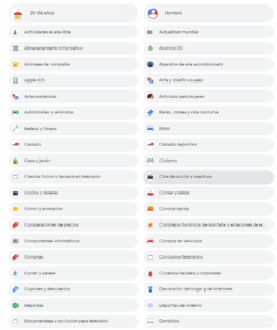 Categorización de audiencias