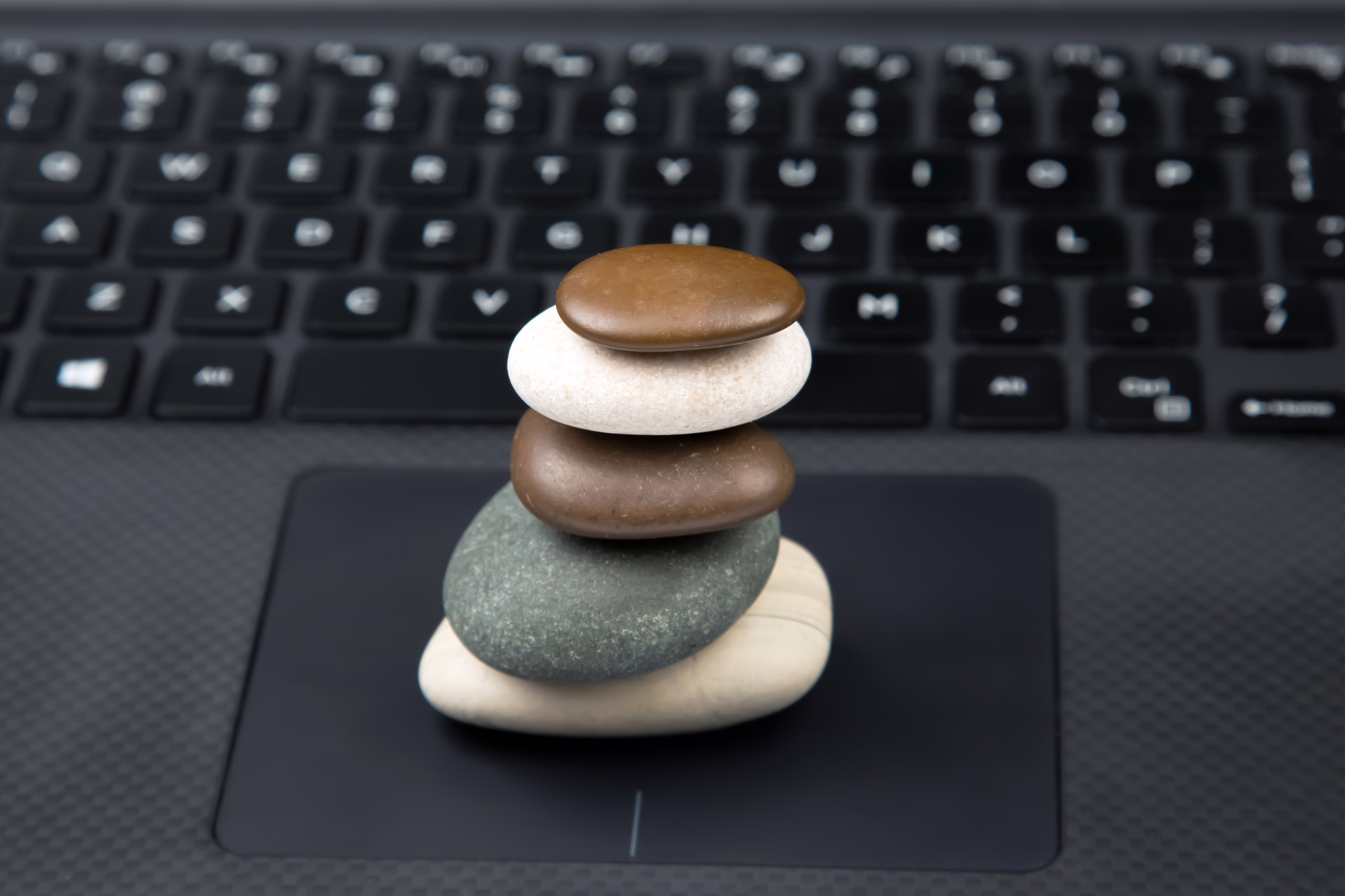 La calidad como piedra angular del ciclo de vida del software