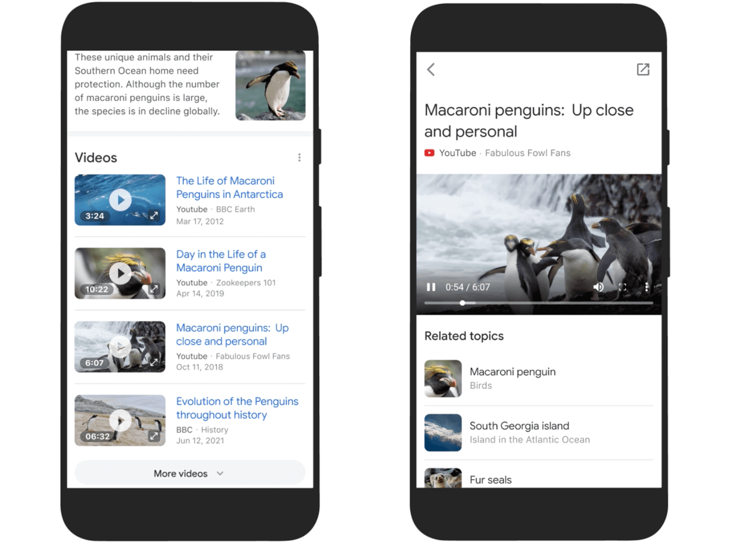 mum actualizacion busqueda de video