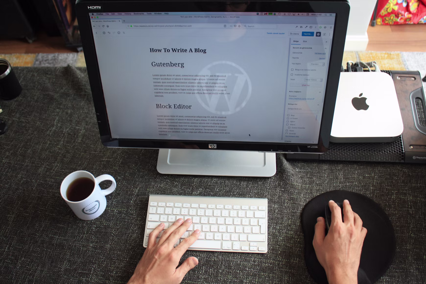¿Es Gutenberg el problema de WordPress?